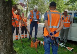 Geslaagde audit voor veilig werken bij UW Groen; “We mogen hier trots op zijn”