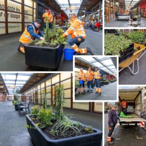 UW kan meer! Vergroening winkelcentrum Smaragdplein